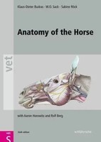 Klaus-Dieter Budras (U. A.) | Anatomy Of The Horse | Buch | Englisch (2012)