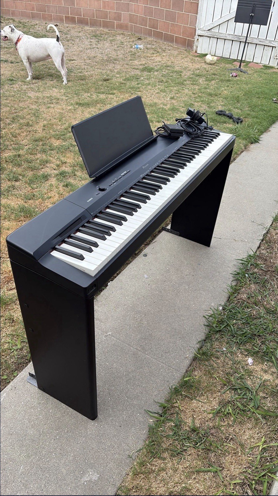 Casio PX-160 88-Key Digital Piano Black w/ Pedal, Power Adapter, Music Desk