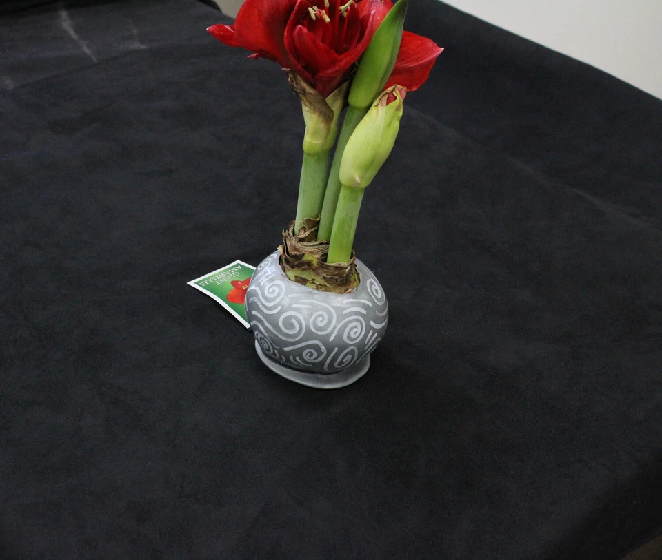 Micro Suede Faux Fashion Fabric Upholstery 58" Wide By the Yards or Sample - Image 3 of 4