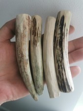 283.KNIFE HANDLE MATERIAL.  ELK HORN BLANKS.EUROPEN ELK(NATURAL).