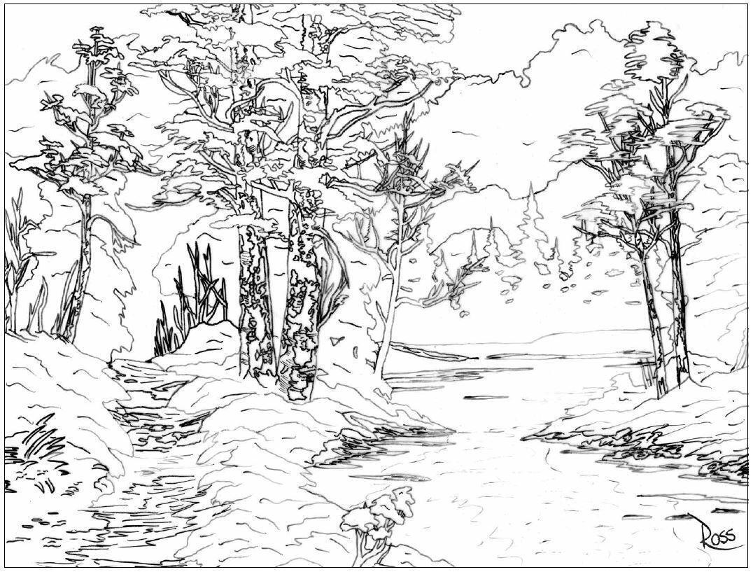 Thumbnail - Das Ausmalbuch. | Bob Ross | Taschenbuch | 96 S. | Deutsch | 2019 |