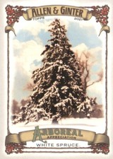 2021 Allen Ginter Base and Insert Singles