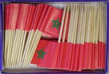One Box of 100 Morocco Toothpick Flags, 100 Small Mini International Flags
