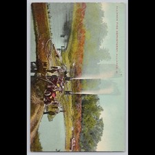 Antique Postcard Alliance Fire Department Ohio Vintage Lithograph
