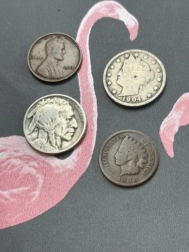 US Coin Lot- Indian Head Cent, Wheat Penny, Liberty V & Buffalo Nickel +FREE S&H