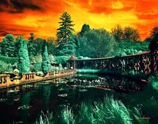 Colorful infrared photograph mounted on board. NOT AI.