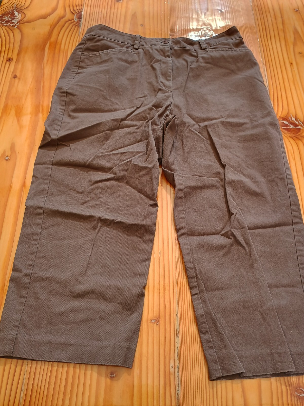 Sag harbor Stretch Petite Brown Pants Size 6P