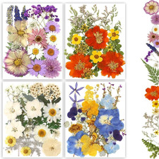 Dried Pressed Flowers, 80Pcs Real Natural Pressed Flowers Bulk for Resin Nail Ar