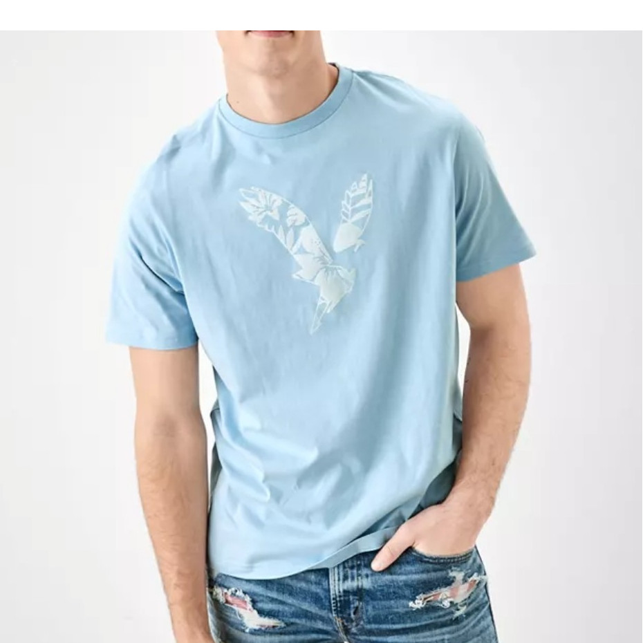 NWT American Eagle Men's Light Blue Cotton Tee With Eagle Graphic, Size Small