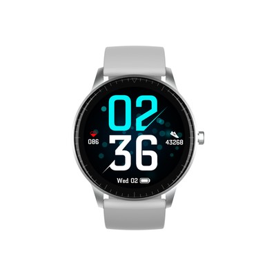 Denver Bluetooth Smartwatch SW-173 Grau ''wie neu''