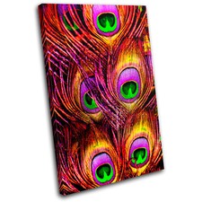 Peacock Feathers Animals SINGLE CANVAS WALL ART Picture Print VA