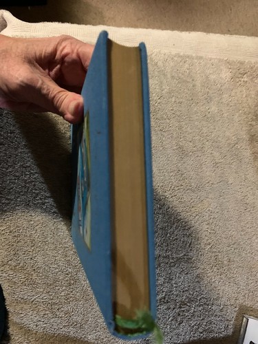 Harry Potter and the Chamber of Secrets Deluxe UK First Edition 1st Print Rare - Picture 9 of 9