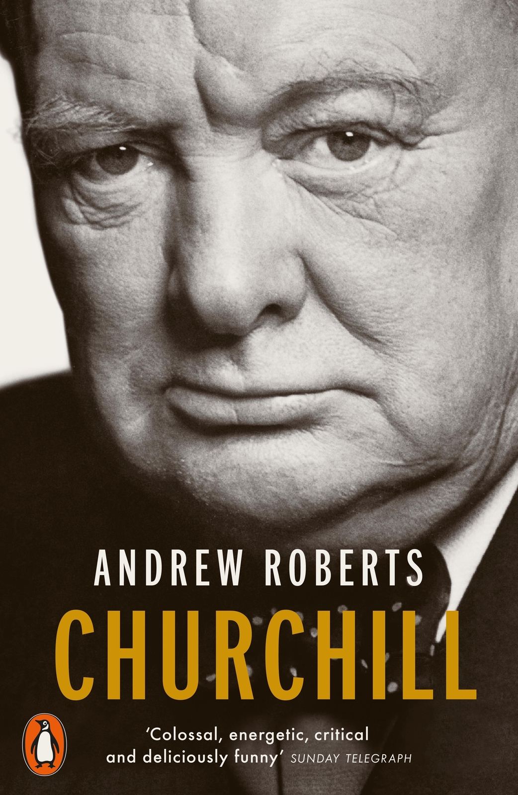 Thumbnail - Churchill, Andrew Roberts