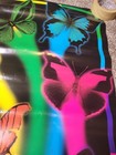 Butterfly Vintage 1998 At A Glance Insect Art Print Poster 22x34 — photo 3