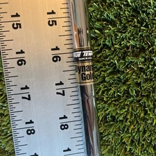 True Temper Pulled Dynamic Gold X100 .370 tip X-Stiff Flex 37”
