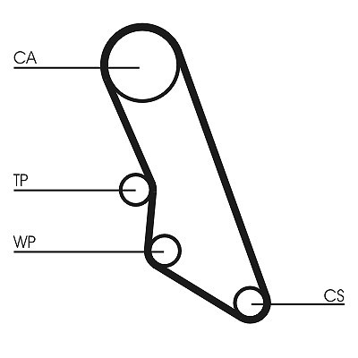 Continental Ctam Zahnriemen U.A. FüR CitroËN, Fiat, Peugeot-image
