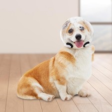 Chien Bouche Bouche Bouche Anti-boute Hotte pour La Coupe Des Ongles, Formation