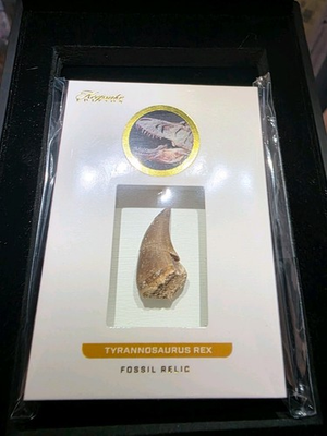#ad #ad 2023 Keepsake Edition Tyrannosaurus Rex T rex Tooth Relic 50 Rare AUTHENTIC $350.00