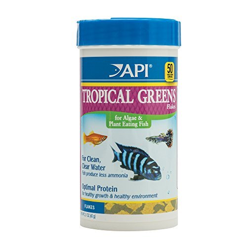 API TROPICAL GREENS FLAKES Tropical Fish Greens Flakes Fish Food 2.1oz Container - Picture 1 of 1