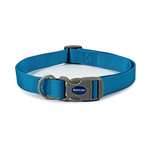 Ancol Patterned Collection Hundehalsband – Reflektierend, Verstellbar, Für Halsumfang 45–70 Cm
