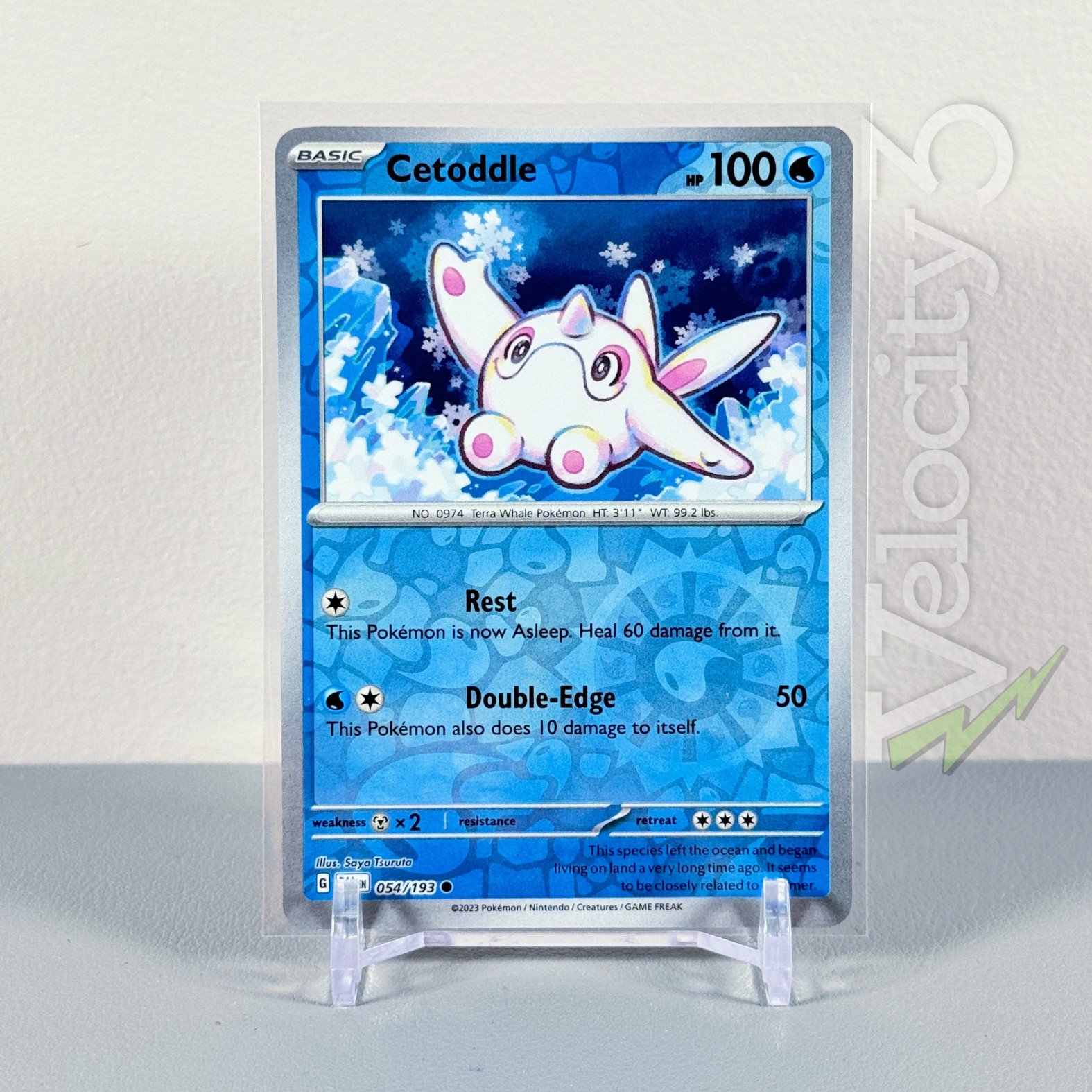 Pokemon TCG Card: CETODDLE 54/193 Reverse Holo | Common | Paldea Evolved | Mint