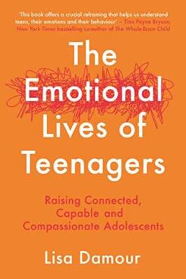 The Emotional Lives of Teenagers - Paperback - VERY GOOD