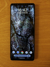 Sony Xperia 1 V - 256GB - SIM/cellular not working