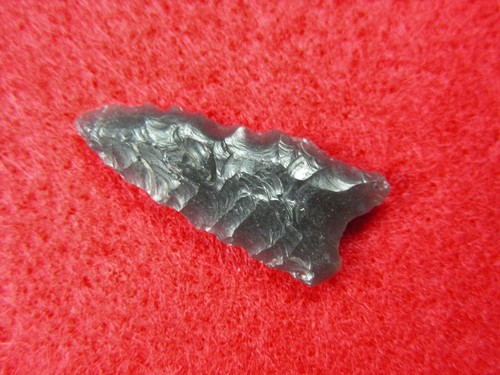 BUCHANAN EARED 1" OREGON Authentic Indian Artifacts - Picture 3 of 9