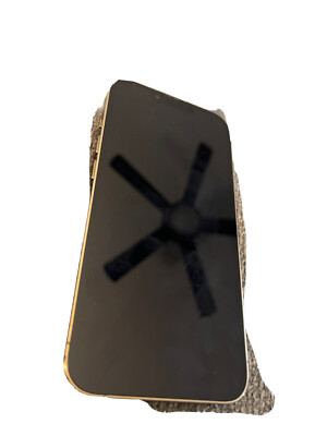 Apple iPhone 13 Pro - 256GB - Gold (AT&T)