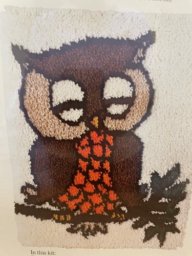 Kit gancio di bloccaggio CARON Sleepy Owl 20” x 27” 3062/1 vintage nuovo/sigillato - Foto 2 di 3