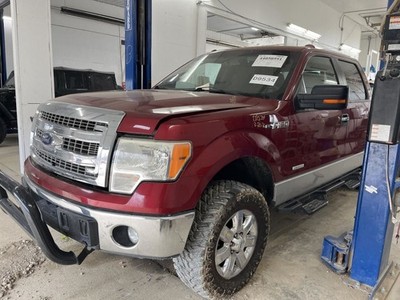 Air Bag Front Passenger Dash Fits 09-14 FORD F150 PICKUP 1063478