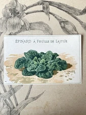 Chromo Label Antique Vegetable Vilmorin Spinach Leaf Horticulture Catalog