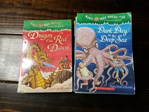 20 Accelerated Reader 3rd Grade Chapter & Reader Picture Books AR 3.0-3.9 - Picture 8 of 12