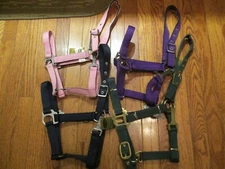 Gatsby Classic Nylon Halter With Snap  pony size   pink navy green purple