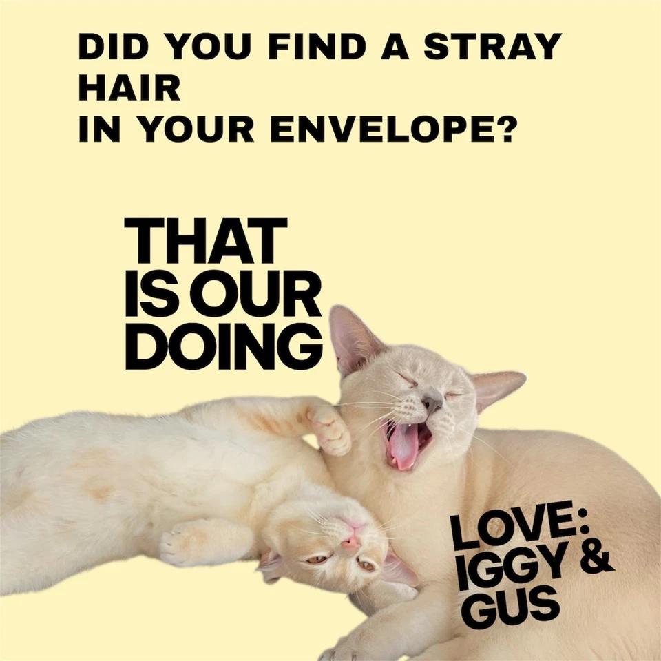 CGC 9 Eevee 167/236 Sun & Moon Cosmic Eclipse Pokémon TCG *Free Slab Included*🔥 - Image 4 of 4