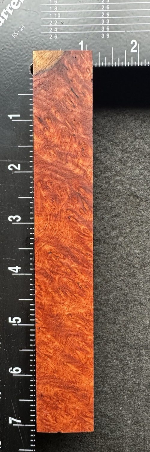 Picture 3 of 10