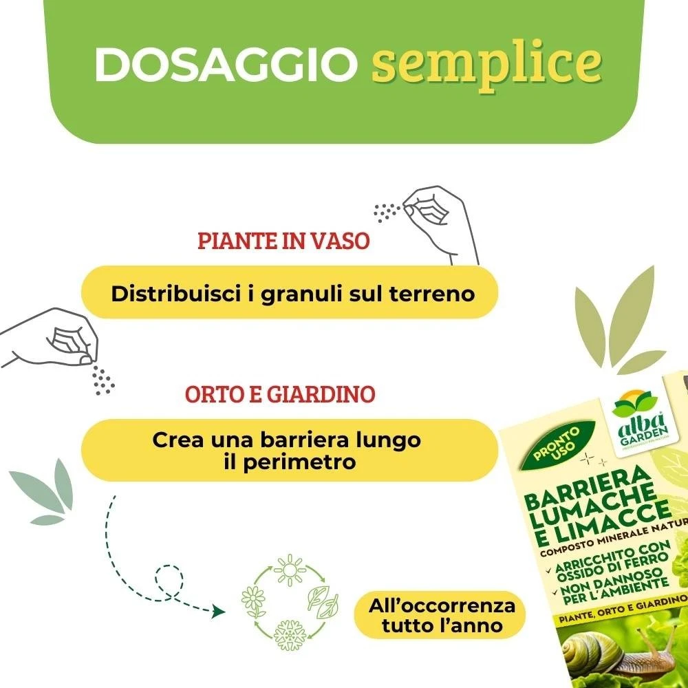 Foto 3 di 10