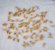 Mini Plastic Dinosaur Skeleton Toys Party Favors, Educational Fossil Lot of 107