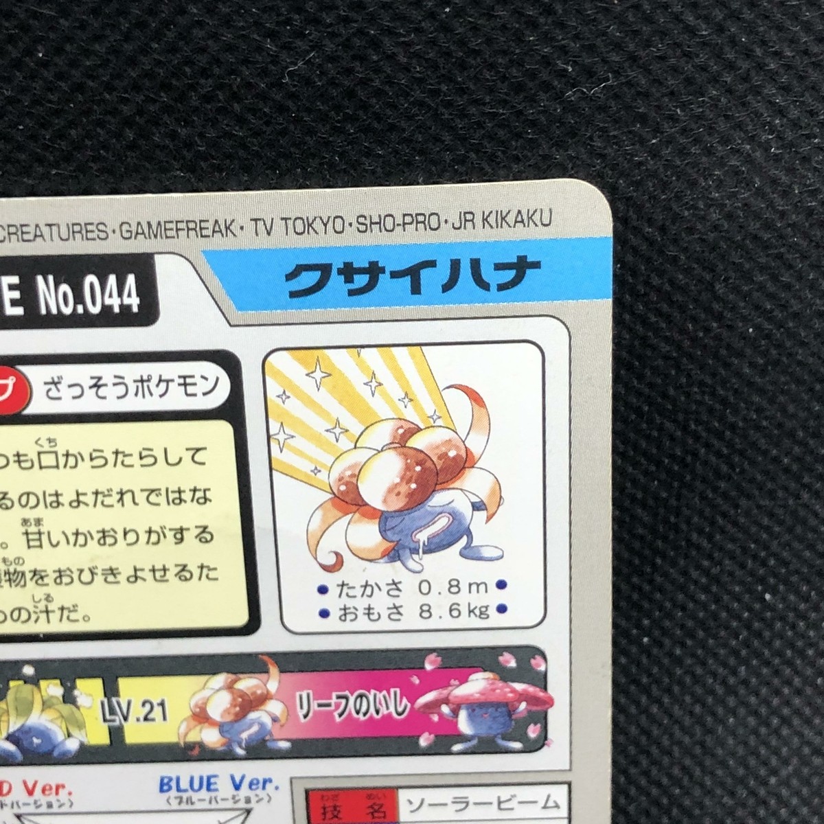 ポケットモンスター　1997年BANDAI FILE Pokemon Card Japanese File No. 044 Bandai 1997 Pocket