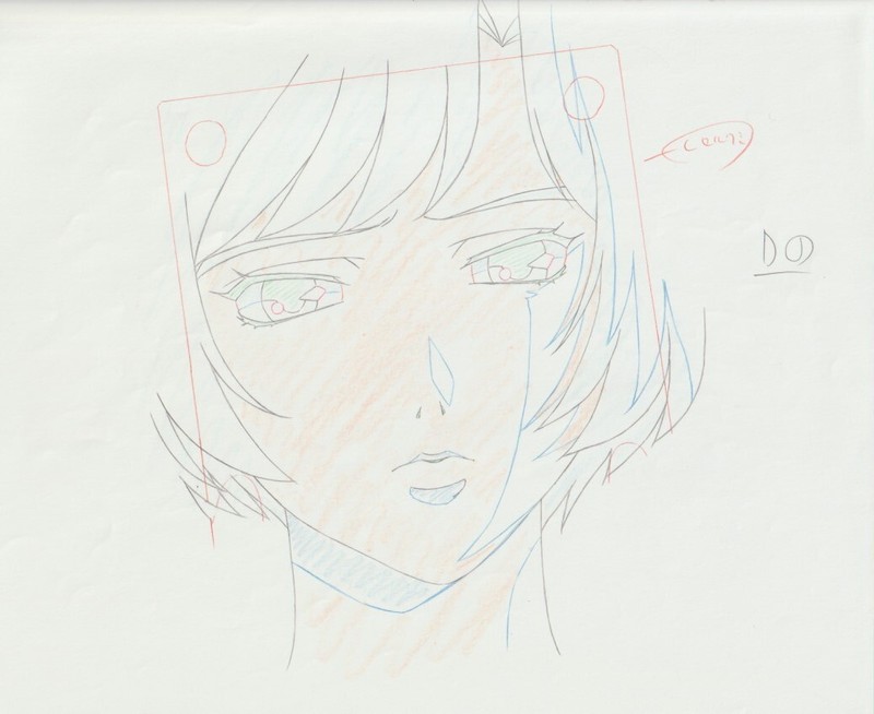 The Twelve Kingdoms Juuni Kokki Genga Douga Original Sketches Pierrot - Yuka