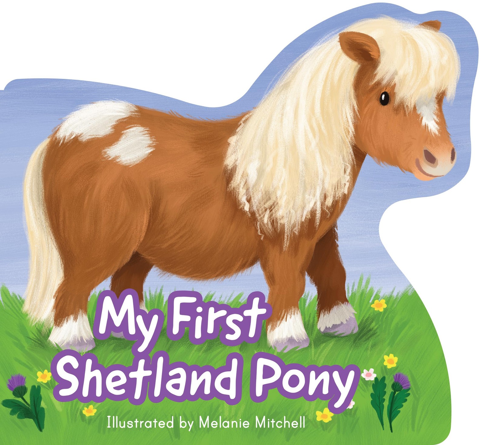 My First Shetland Pony (Picture Kelpies)