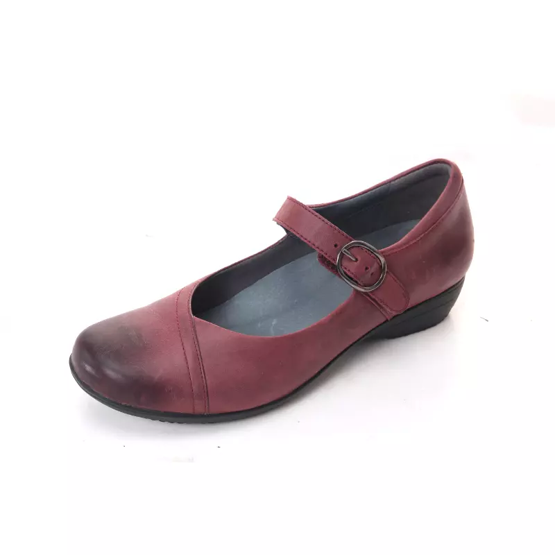 Fawna dansko shop