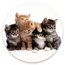 Mouse Pad, Cute Mousepad with Design, Round Family Cats Mat, Small Non-Slip R...