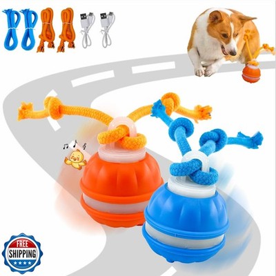 2Paks Interactive Dog Toys，Peppy Pet Ball for Dogs，Motion Activate Rolling Ba