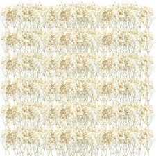 300 Pcs Mini Dried Baby Breath Flowers Wedding Ivory Natural Flowers Bulk Dri...