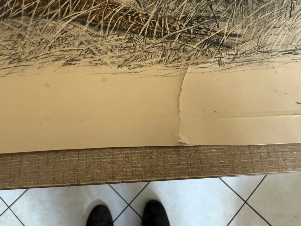 ANCIENNE LITHOGRAPHIE LEON DANCHIN CHIEN DE CHASSE ANNEE 1931 - Photo 3/4