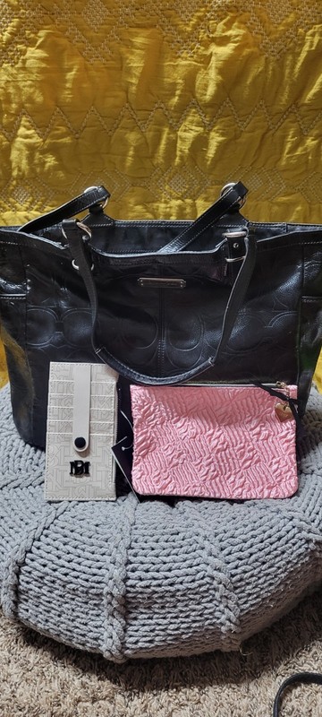 Lot Of Three Including Coach Bag, Badgley Mishka Card Holder And Ipsy Makeup Bag