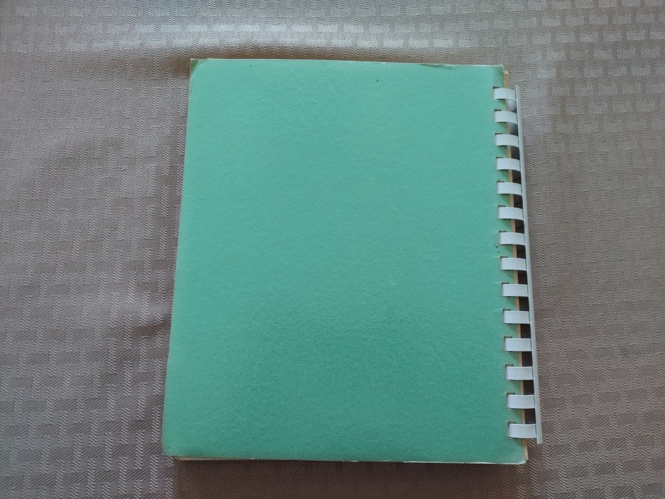 Tyndall, SD St. Michael's Hospital Cookbook 242 Pages Plastic Ring