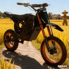 20in 6000W 60V 32AH Adult E-Bike, 60KMH US E-Mtn Desert-Surf Speed Gladiator