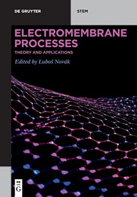 Electromembrane Processes : Theory and Applications - Lubos Novak - PAPERBACK